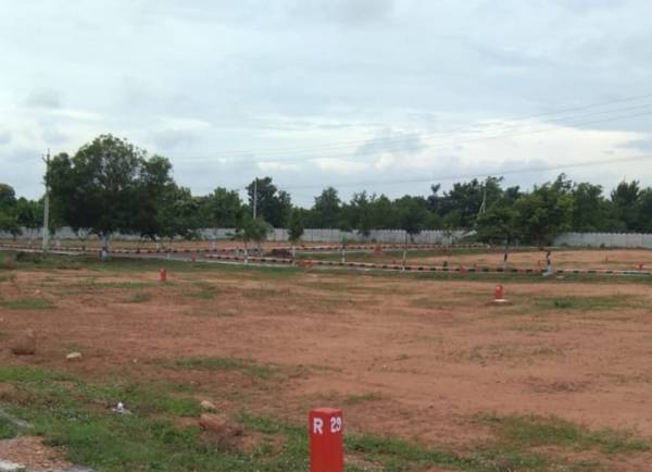  highway-paradise Elevation