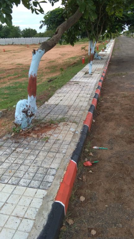  highway paradise Plot