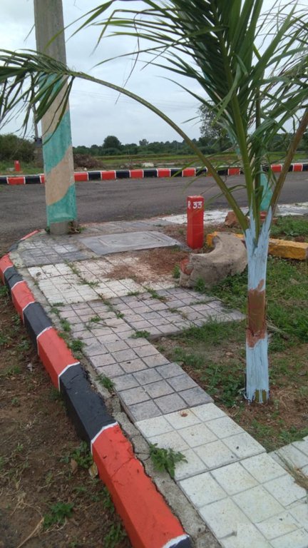  highway paradise Plot