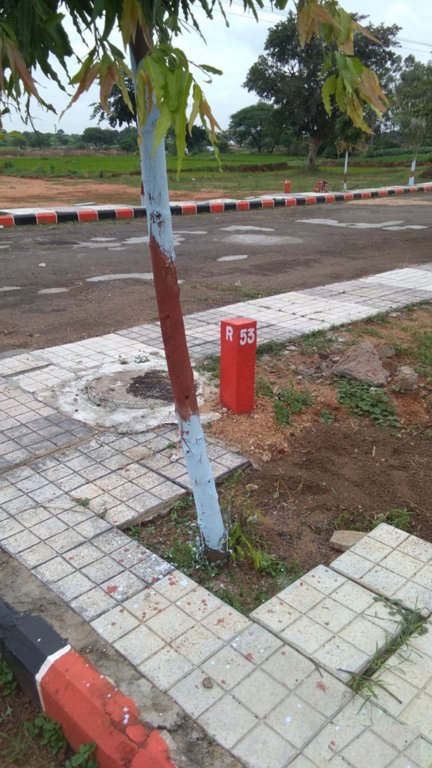  highway paradise Plot