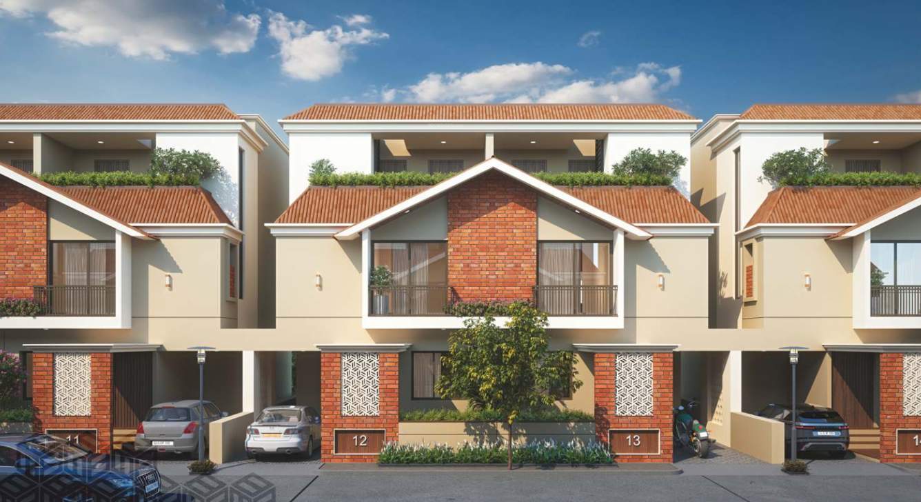  homes Elevation