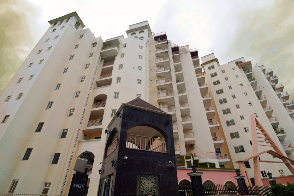  best oriana Elevation