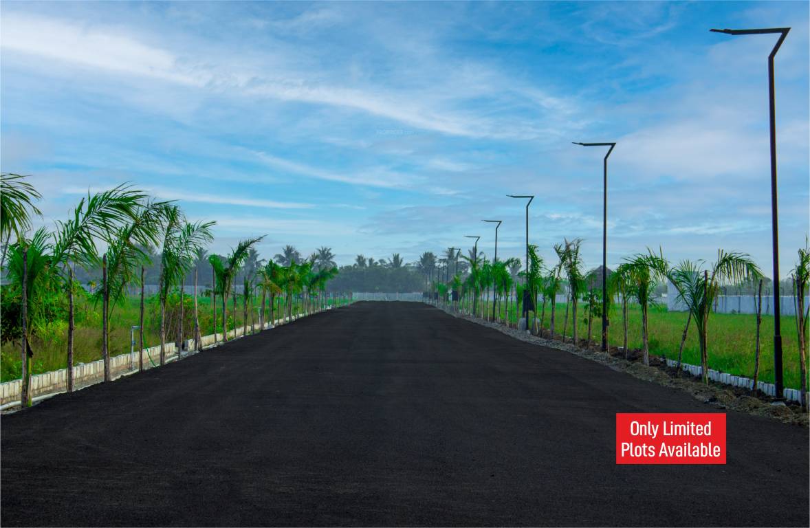  atmos phase 2 Elevation