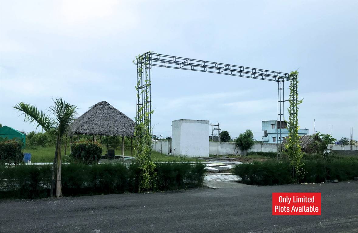  atmos phase 2 Elevation