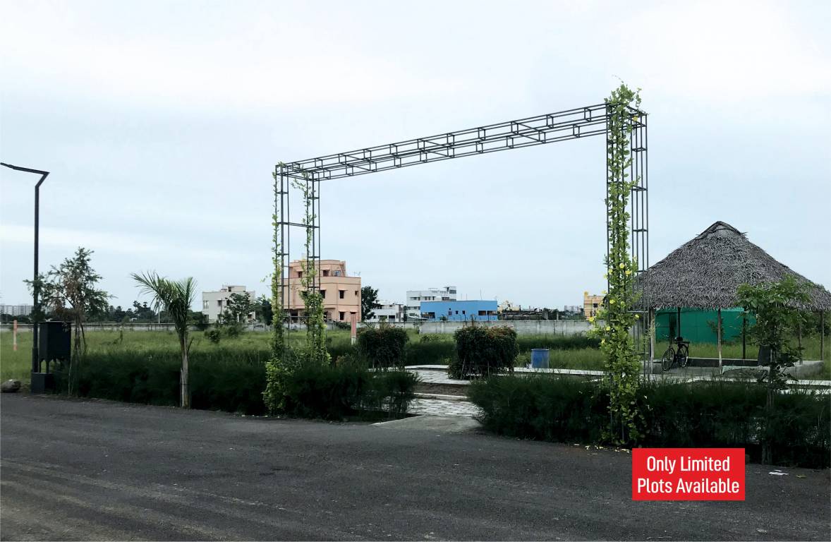  atmos phase 2 Elevation