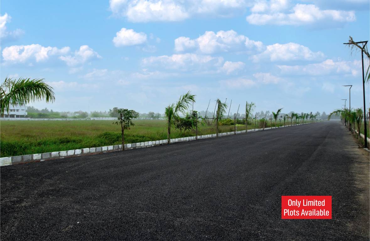  atmos phase 2 Elevation