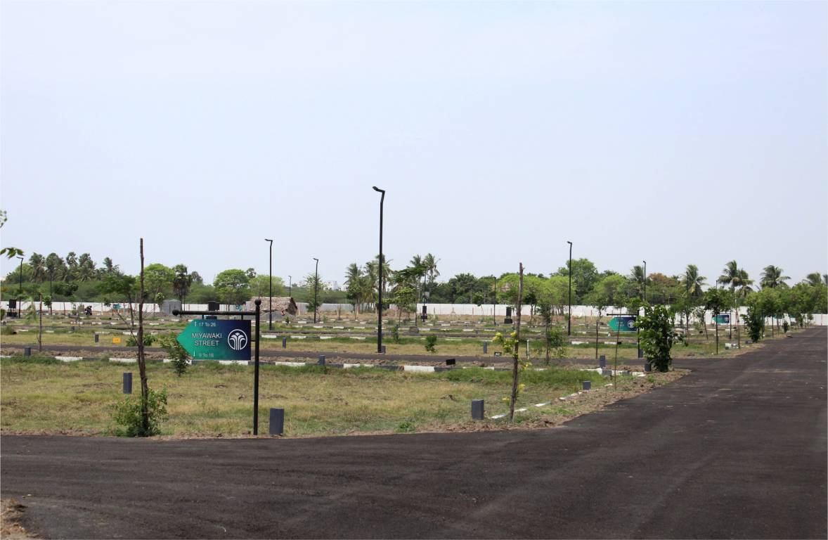  atmos phase 2 Elevation