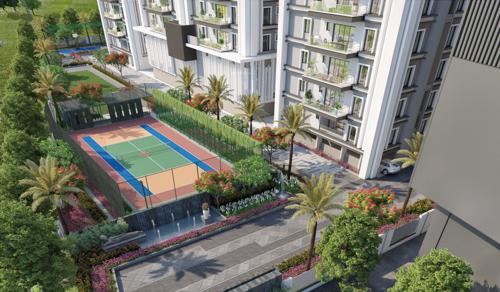  asteria Basketball Court