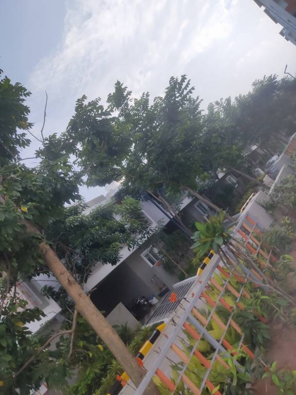  rng supra avenue Others