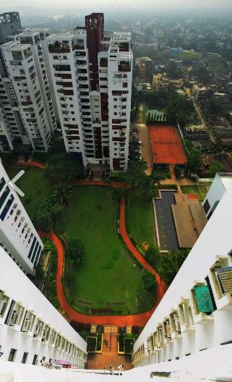  park Landscape Garden and Tree Planting