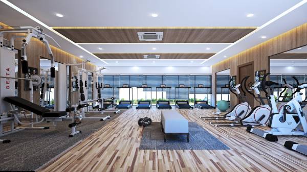  the-communittee Gymnasium