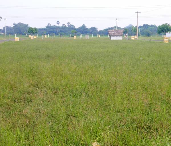  thanigai-estate Elevation