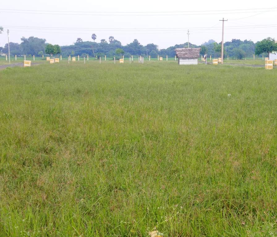  thanigai estate Elevation