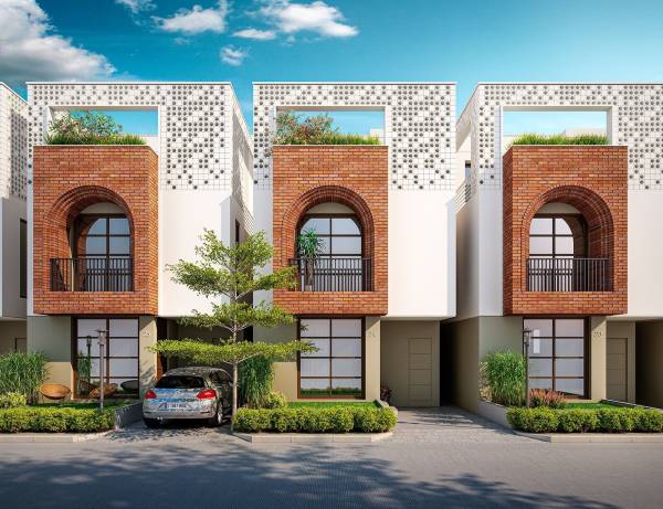 Elevation myrah-36 Elevation