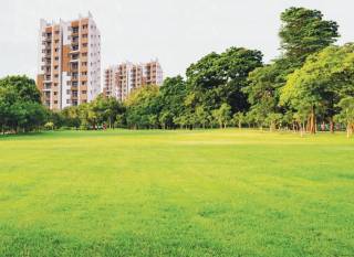 Project Image Project Image