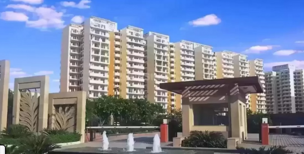 Elevation avenue-86 Elevation