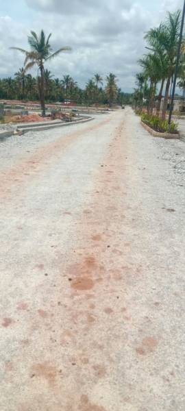  lakeshore-homes Internal Roads