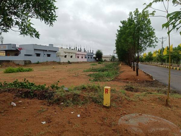  auric-nest Elevation