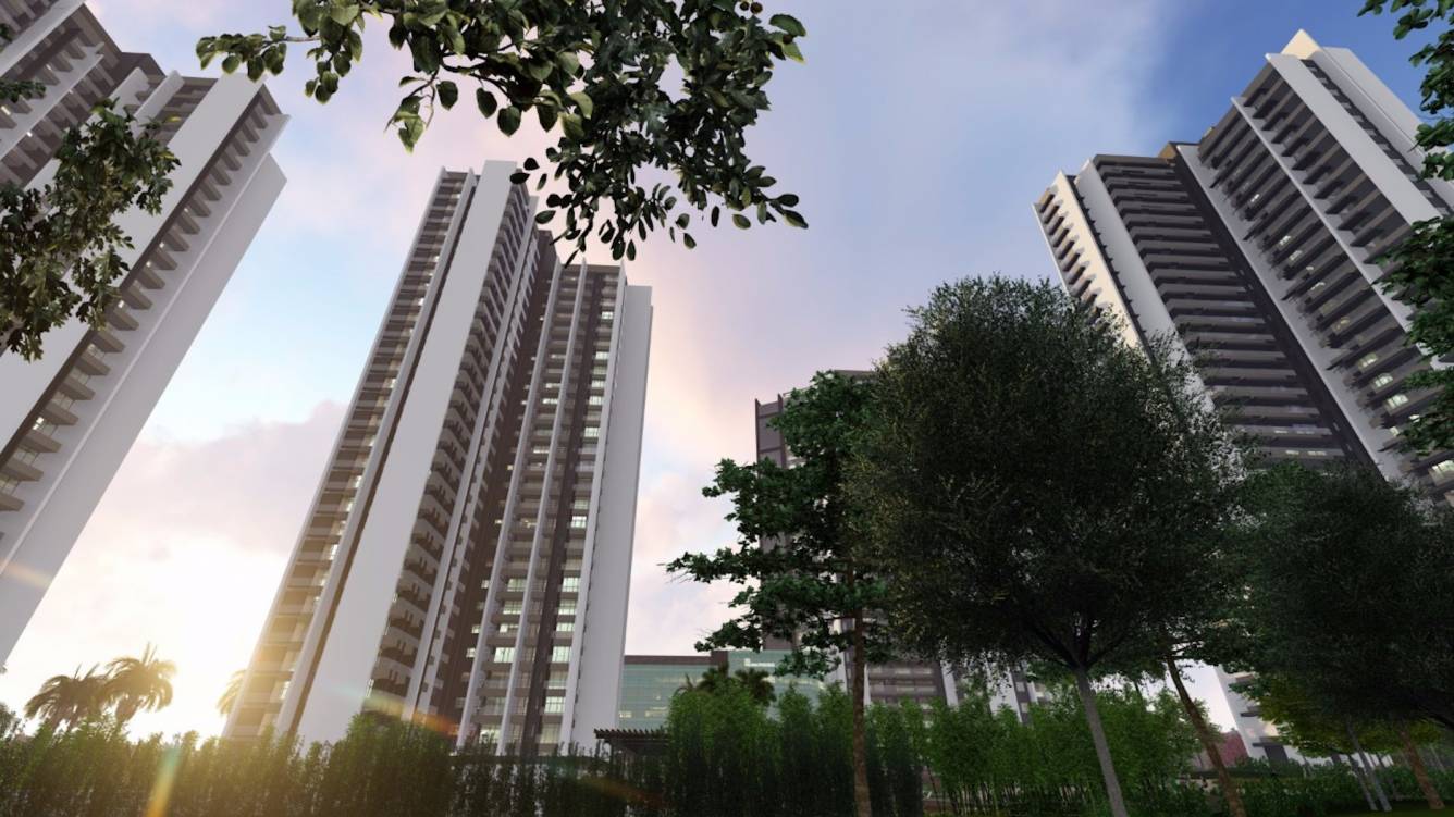  solitaire world Elevation