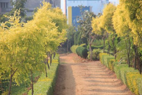 Landscape Garden and Tree Planting jss-4th-stage-block-a Landscape Garden and Tree Planting
