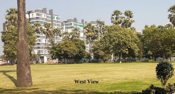 Elevation divine-rivera Elevation