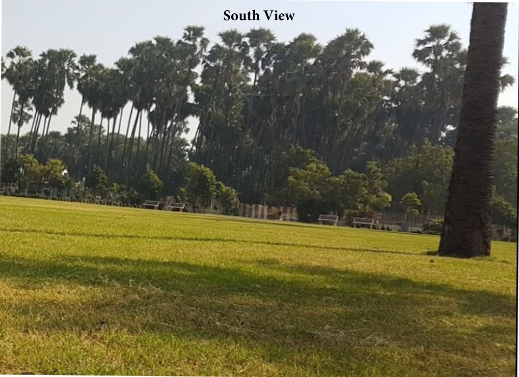  divine rivera Elevation