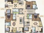 Petunia Cluster Plan From 1st To 5th Floor petunia Petunia Cluster Plan From 1st To 5th Floor