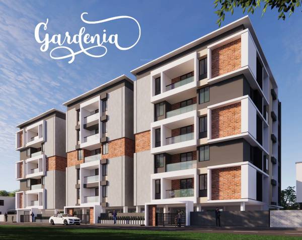  gardenia Elevation