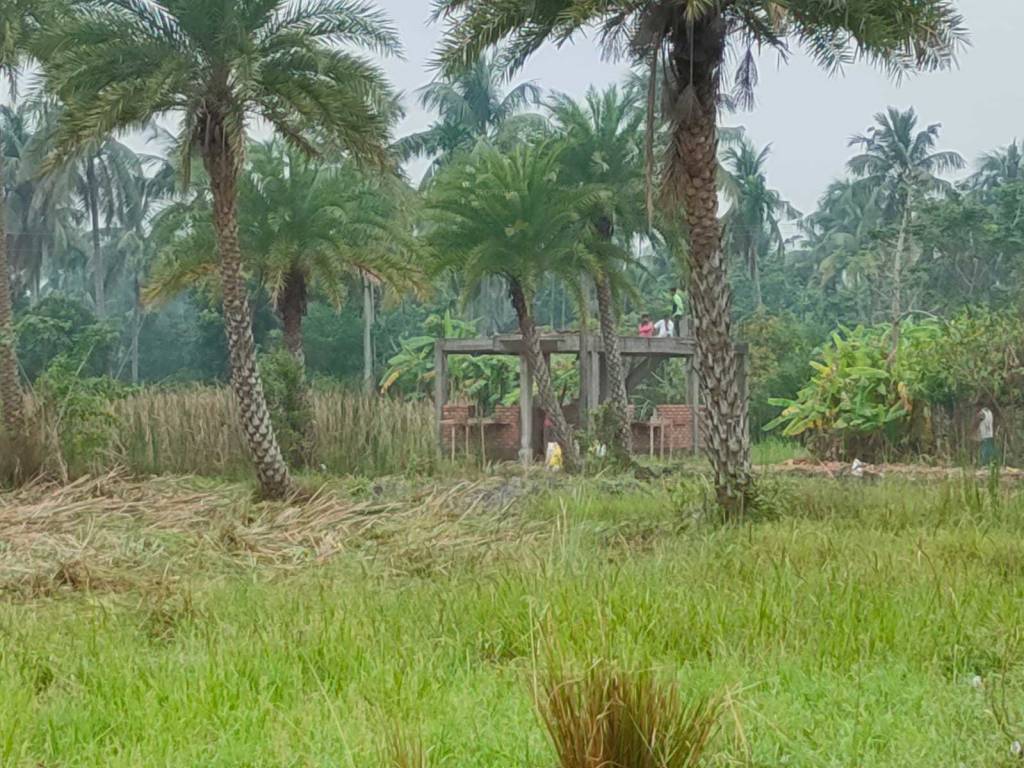  rasapunja abasan Elevation