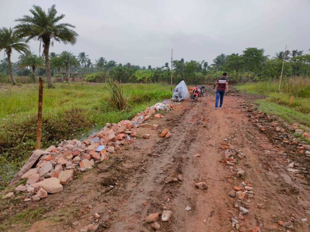  rasapunja abasan Plot