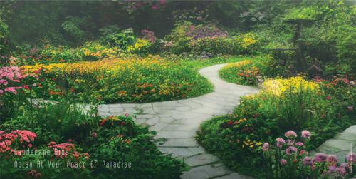  downtown Landscape Garden and Tree Planting