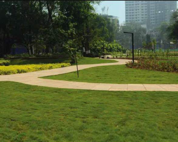  avenue wing l Others