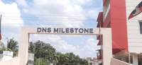DNS Milestone
