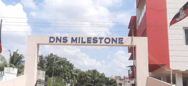  dns-milestones Elevation