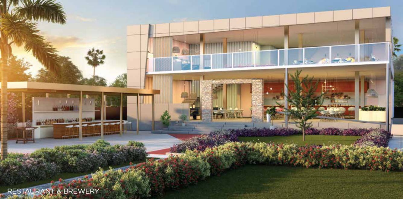  central avenuue Others