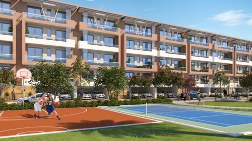  insignia-park Basketball Court