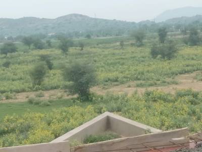 Elevation oasis-green-i Elevation