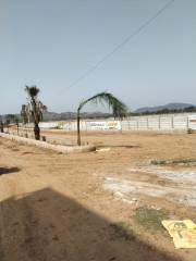 Project Image Project Image