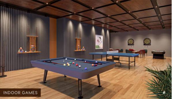  sangini-nirvana Indoor Games