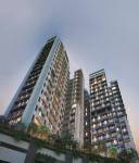 Elevation isle Elevation