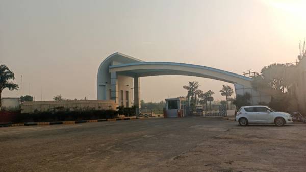  palm-garden Elevation