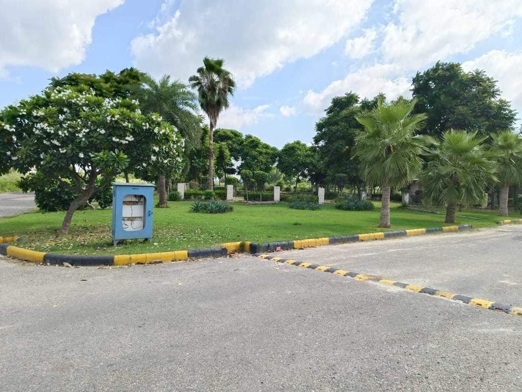 amg palm garden Landscape Garden and Tree Planting