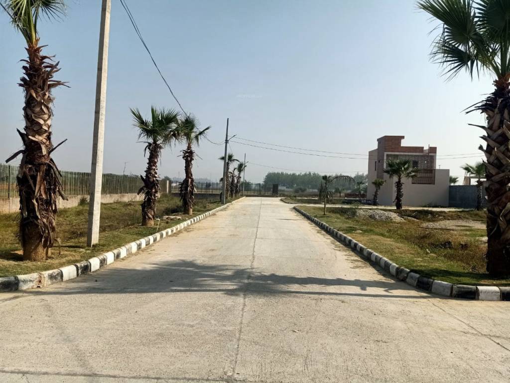 palm garden Internal Roads