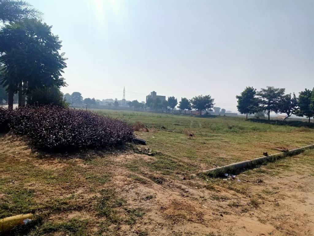 amg plam garden Plot