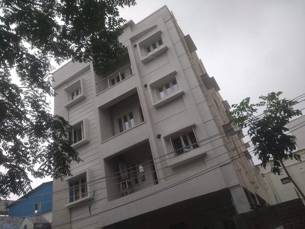  flat Elevation