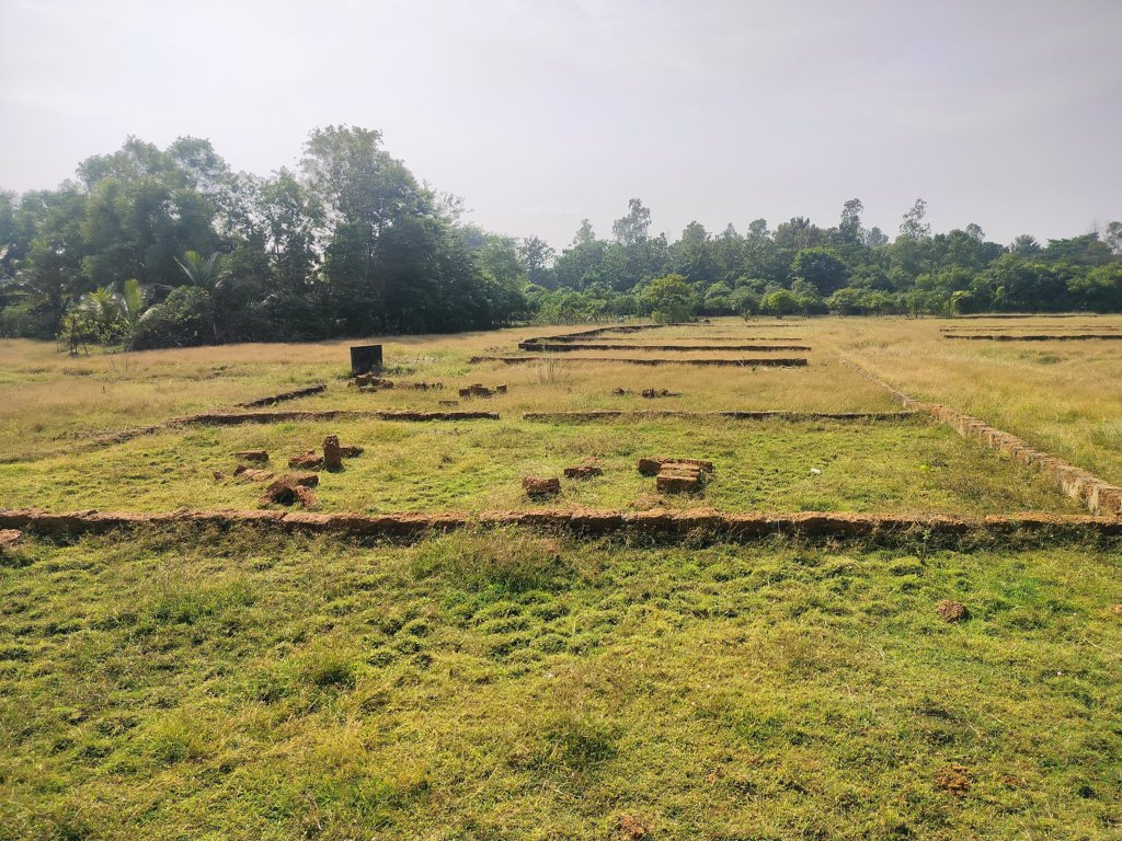 basundhra village Plot