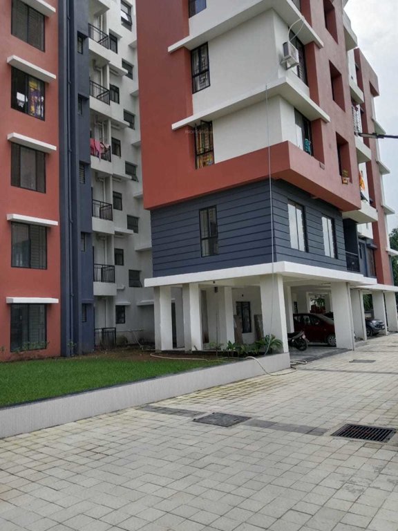 exotica Paved Compound