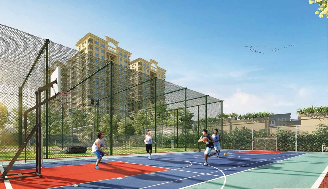 9 boulevard Basketball Court