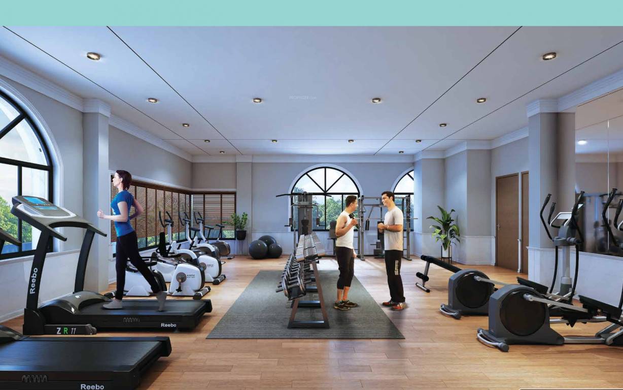 9 boulevard Gymnasium