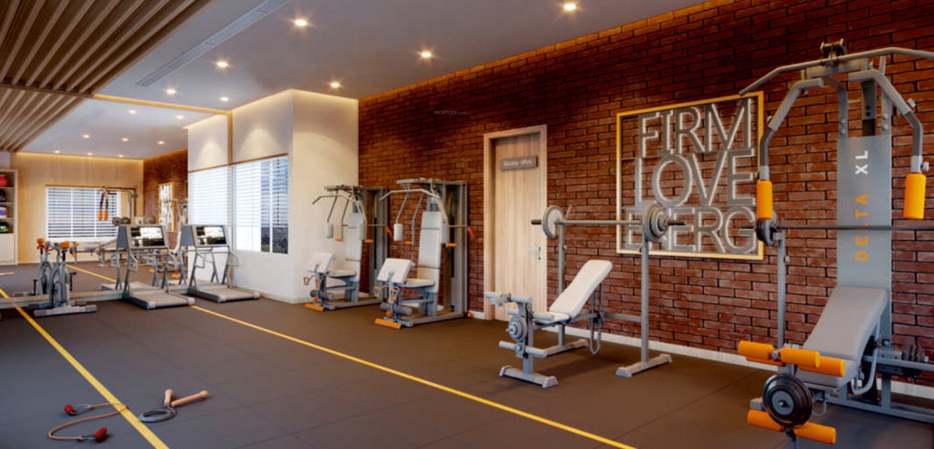  24life blooms Gymnasium